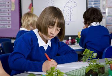 Primary school pupil writes in her book while looking at plants