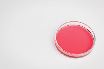 A petri dish containing a pink aqueous solution of cobalt chloride