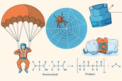 A parachutist brushing his teeth, a spider and web, a bulletproof vest, a crushed plastic bottle and a chemical equation for the formation of a protein from amino acids, producing a water molecule