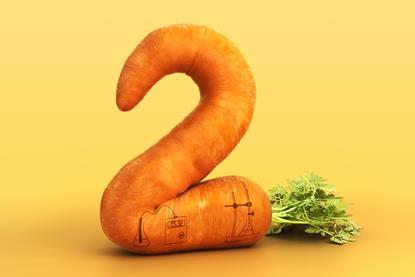 A digital illustation of carrot shaped like a number 2