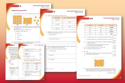A collection of screenshots showing teacher notes and student sheet