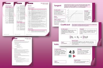 Example pages and slides from the key terms and accessible glossary resources plus teacher notes