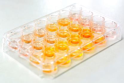A close-up photograph of a laboratory well-plate with 24 wells, containing an orange-yellow solution