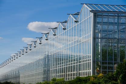 The corner of large agricultural greenhouse, with plants visible through the glass panels
