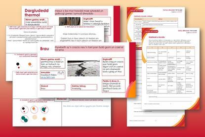 Tudalennau enghreifftiol sy'n ffurfio'r adnodd hwn