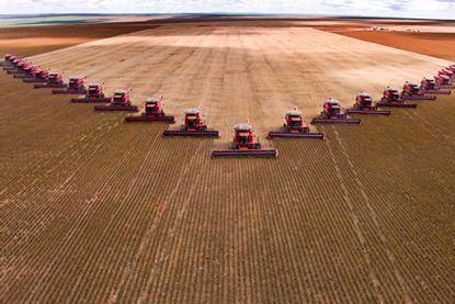 Tractors in a V formation harvesting soybean from a large farm