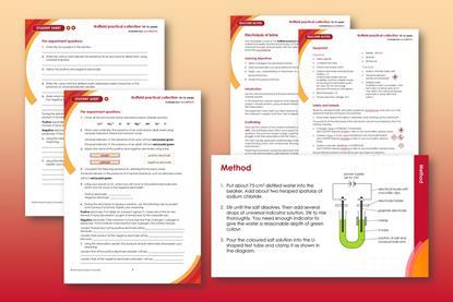 Electrolysis of brine index image