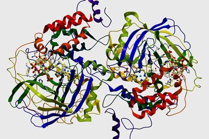 A 3D illustration of the structure of the catalase enzyme