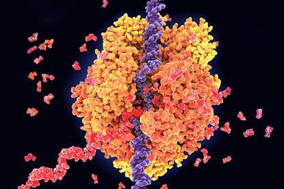 A 3D rendered image of the RNA polymerase II enzyme in yeast transcribing DNA