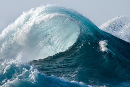 A large ocean wave rising from blue water and breaking into white spray