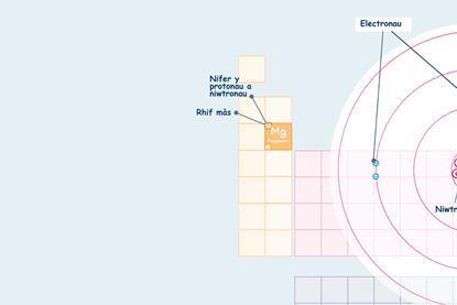 Diagram yn dangos mai 12 yw rhif atomig Magnesiwm, a nifer y protonau