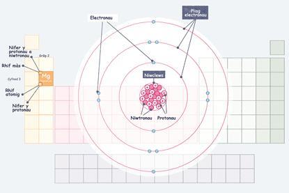 Diagram yn dangos sut mae rhif grŵp a rhif cyfnod elfen yn y tabl cyfnodol yn adlewyrchu ei adeiledd atomig o ran ei nifer o electronau a phlisg electronau