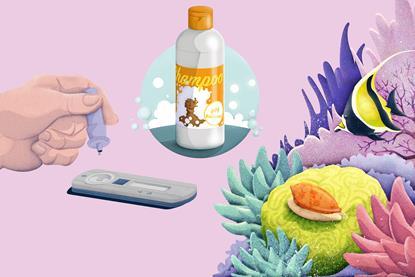 A cartoon of a lateral flow test, a bottle of shampoo and a coral reef