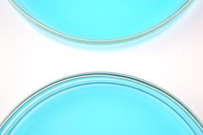 A close-up photograph of two glass Petri dishes containing blue copper(II) sulfate solution