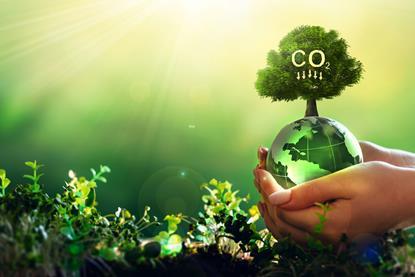 hands holding a green globe, with a tree on top with CO2 written on it