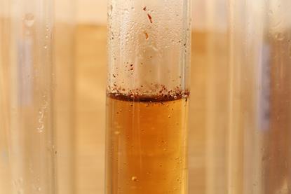 A close-up photograph of a glass test tube containing a light brown liquid