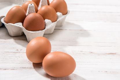 egg image