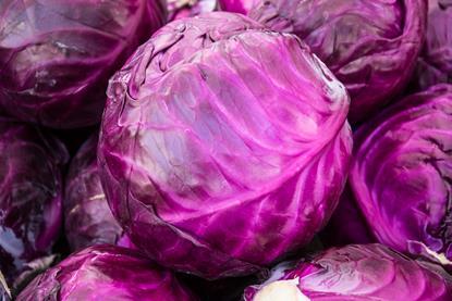 A close-up photograph of a heap of red cabbages