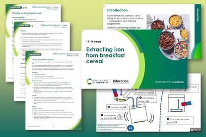 A preview showing a selection of the resource pages available in this resource, on a green background