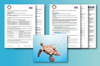 An image showing the pages available in the downloads with a turtle with the number 14 on its shell in the foreground.