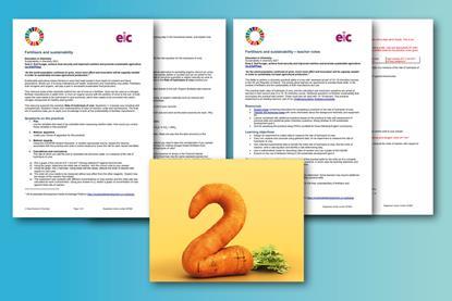 An image showing the pages available in the downloads with a carrot in the shape of a 2 in the foreground.