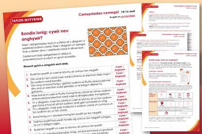 Tudalennau enghreifftiol sy'n ffurfio'r adnodd hwn