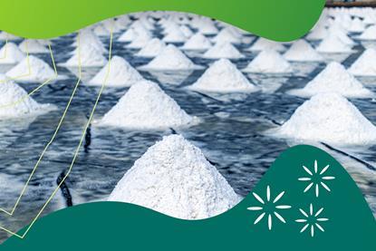 Salt in sea salt farm, piles of salt next to natural sea salt ponds