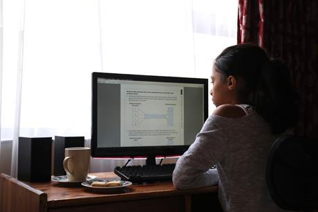 An image showing a girl studying a computer screen, sat at a desk, with a mug and biscuits to her left, all in front of a window