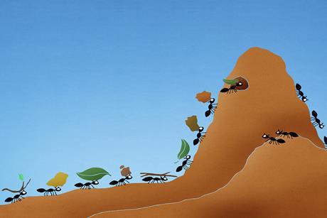 Illustration of ants in a line carrying leaves and twigs into an anthill