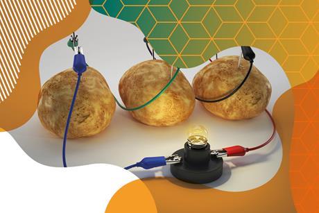 Photo of a circuit using three potatoes to light a bulb