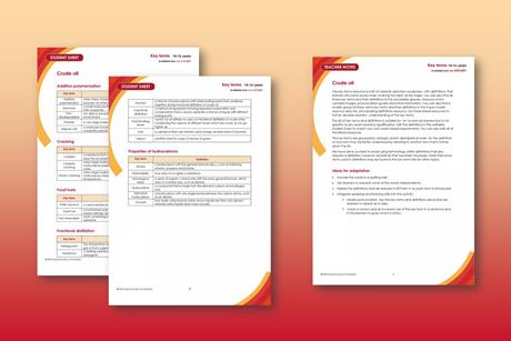 A collection of screenshots showing teacher notes and student sheet