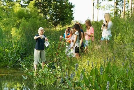 A teacher showing students some science by a wildlife pond
