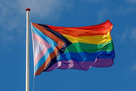 LGBT progress flag