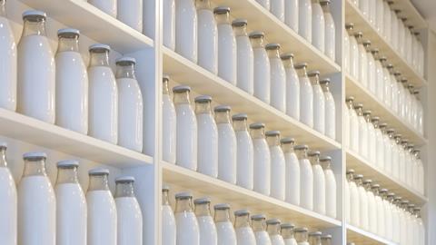 An array of milk bottles on shelves