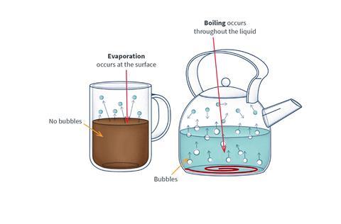 A diagram showing the difference between evaporation from a hot drink and boiling water in a kettle