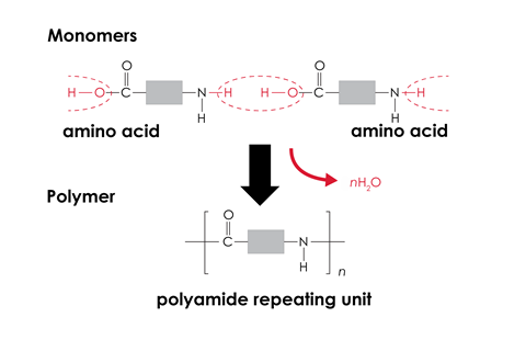 Diagram showing condensation polymerisation to produce a polyamide repeating unit from amino acid monomers