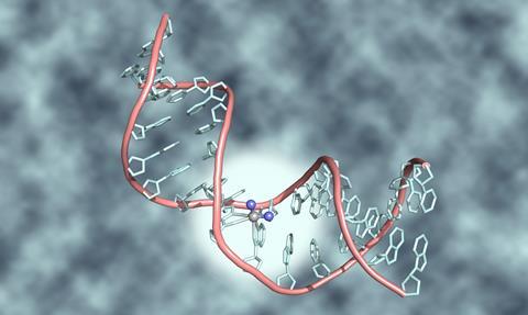 A digital illustration of cisplatin bond to a DNA helix