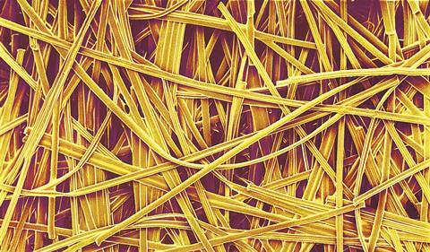 Scanning electron micrograph (SEM) of a mesh of paper fibres