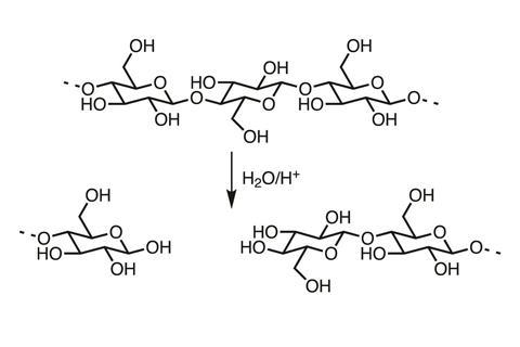 Chemical structures showing the acid catalysed hydrolysis of cellulose chains