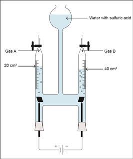 A diagram of an experimental setup with two gases collecting in separate tubes of a piece of glassware containing water with sulfuric acid. Inside the tubes are an anode and cathode connected outside the tube by a wire and battery