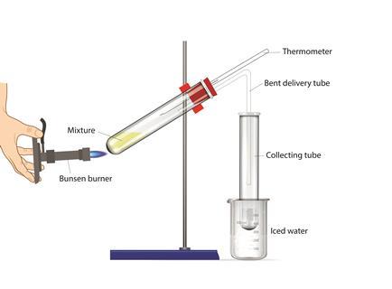 Normal boiling tube with angled delivery 