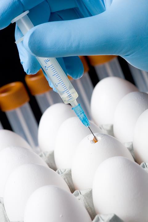 An image showing an egg being injected as part of the bird flu vaccine production