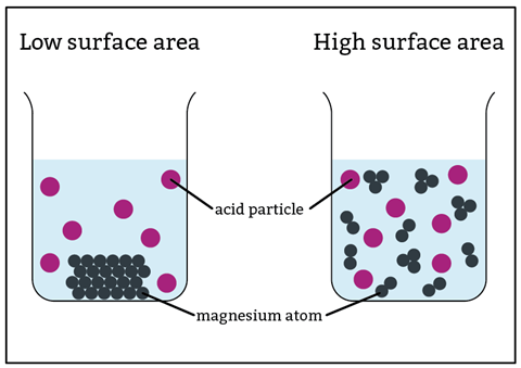 A diagram of two beakers showing that magnesium in a block has a lower surface area to react with the acid than a magnesium powder