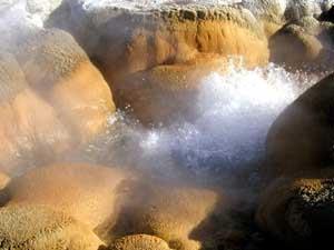 A geyser at Yellowstone National Park