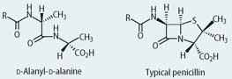 Structures of D-alanyl, D-alanine and typical penicillin