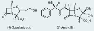 Structures of ampicillin and clavulanic acid