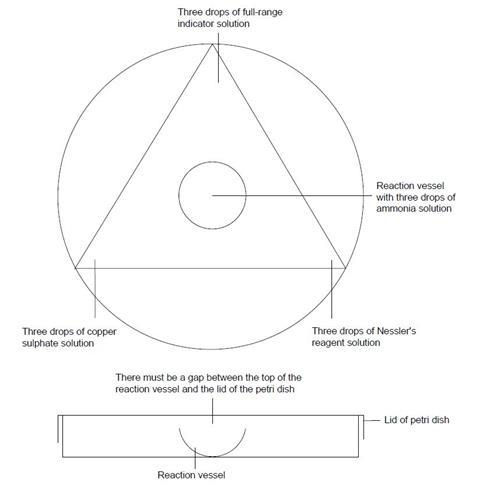 A diagram showing a Petri dish with drops of test solutions and a reaction vessel in the centre containing ammonia solution