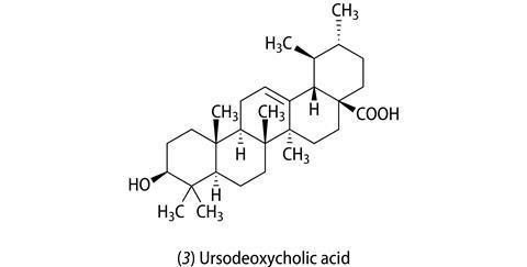 (3) Ursodeoxycholic acid