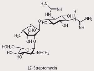 Structure of Streptomycin