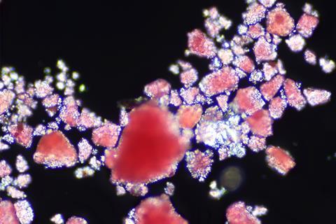 A light micrograph of microplastics showing tiny shiny red flecks.